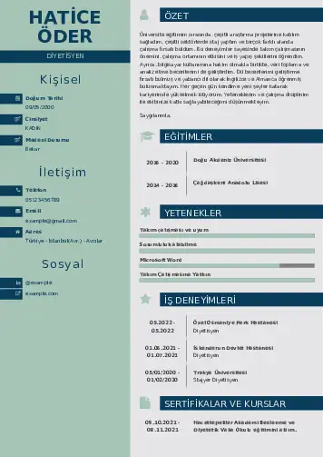 Beslenme Uzmanı Diyetisyen CV Örnekleri cv indir